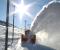 PASSO DEL BERNINA (CH) - Il Trenino Rosso attraversa la distesa di neve e ghiaccio a 2253 mt. s.m.