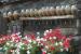 LIVIGNO - Fiaschi di vetro con fiori di arnica